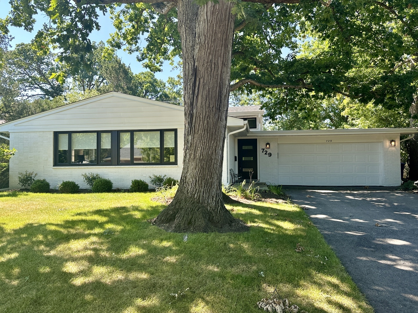 Property Photo:  729 Colwyn Terrace  IL 60015 