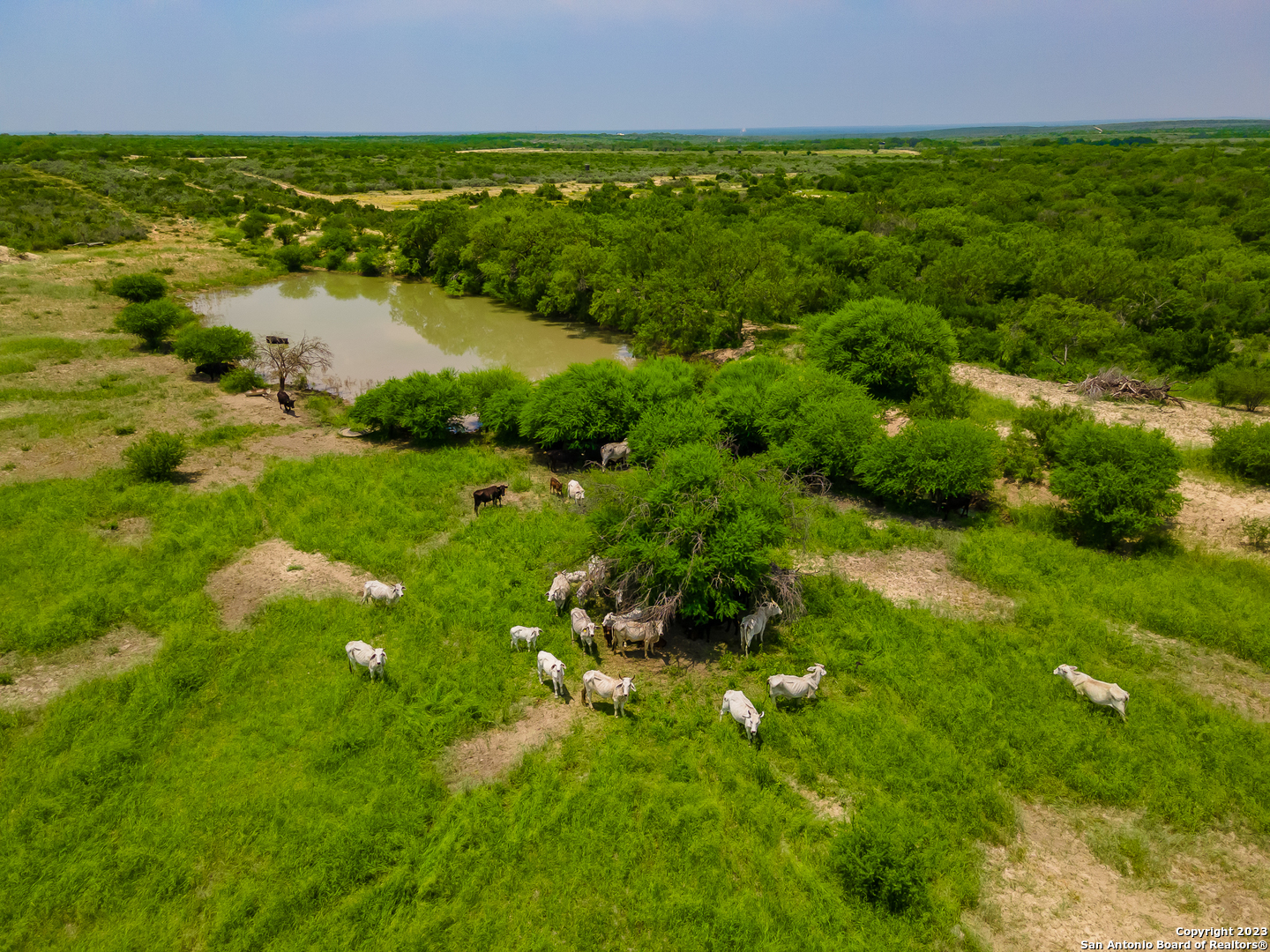 Property Photo:  4984 S US Highway 83  TX 78801 