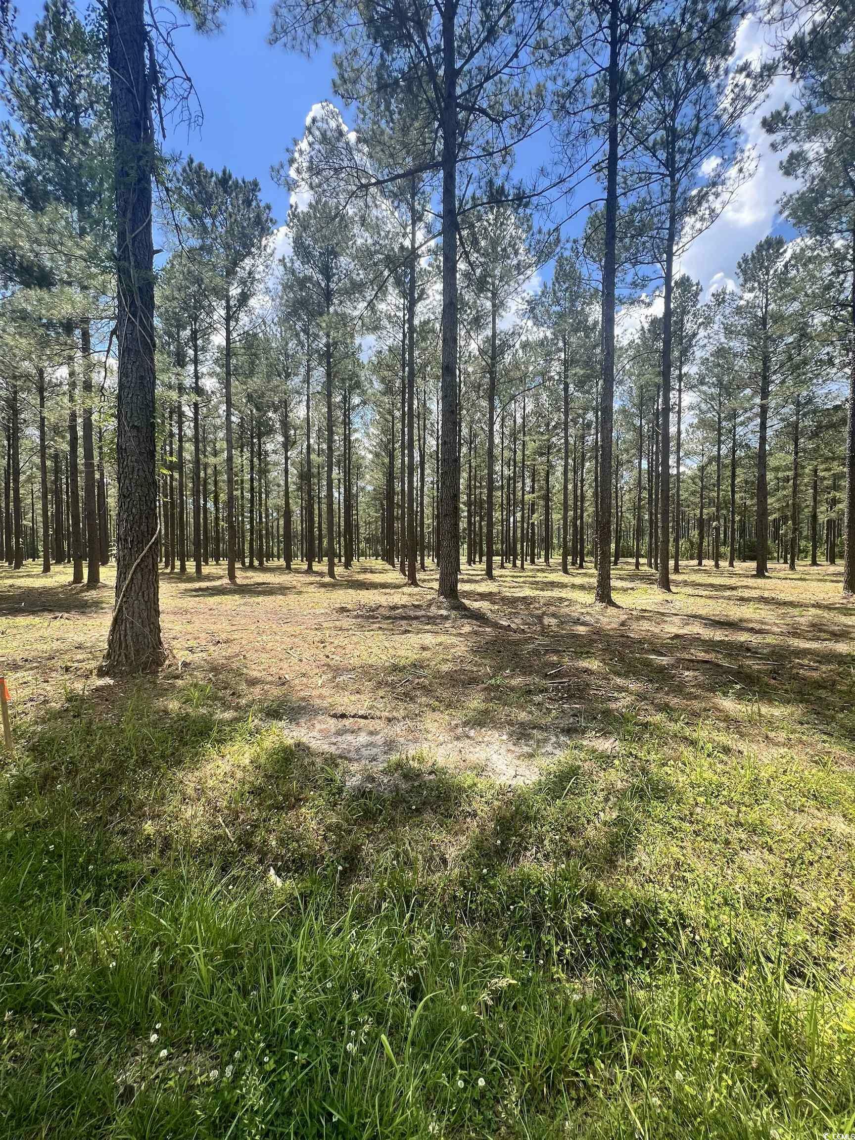 Property Photo:  Lot 3 Ashley Circle  SC 29526 