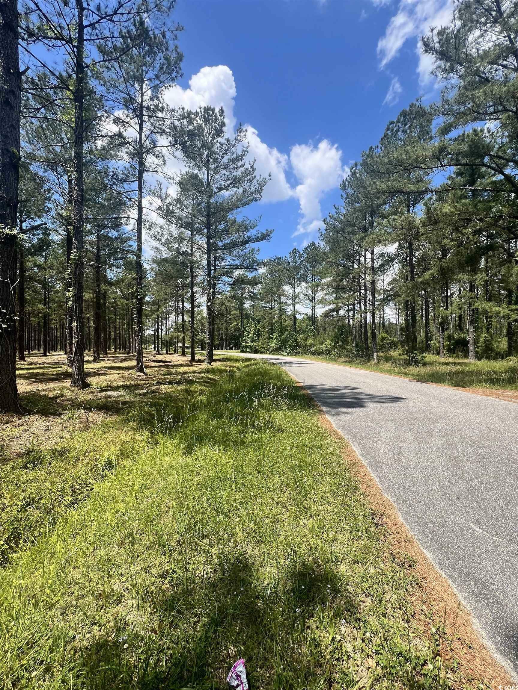 Property Photo:  Lot 2 Ashley Circle  SC 29526 