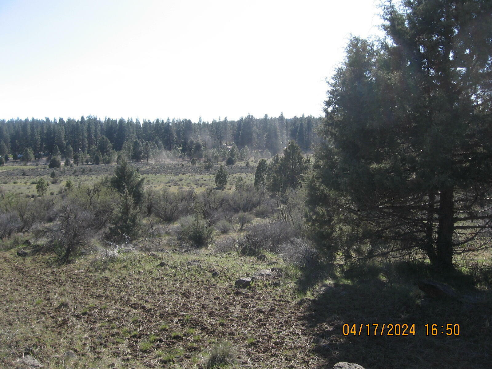 Property Photo:  Brant Drive Lot 35  OR 97623 