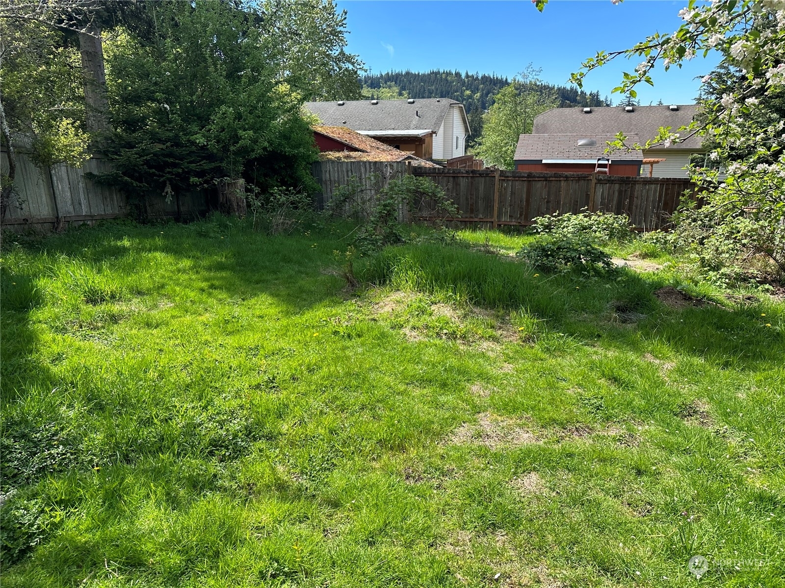 Property Photo:  1027 Nevada Street  WA 98229 