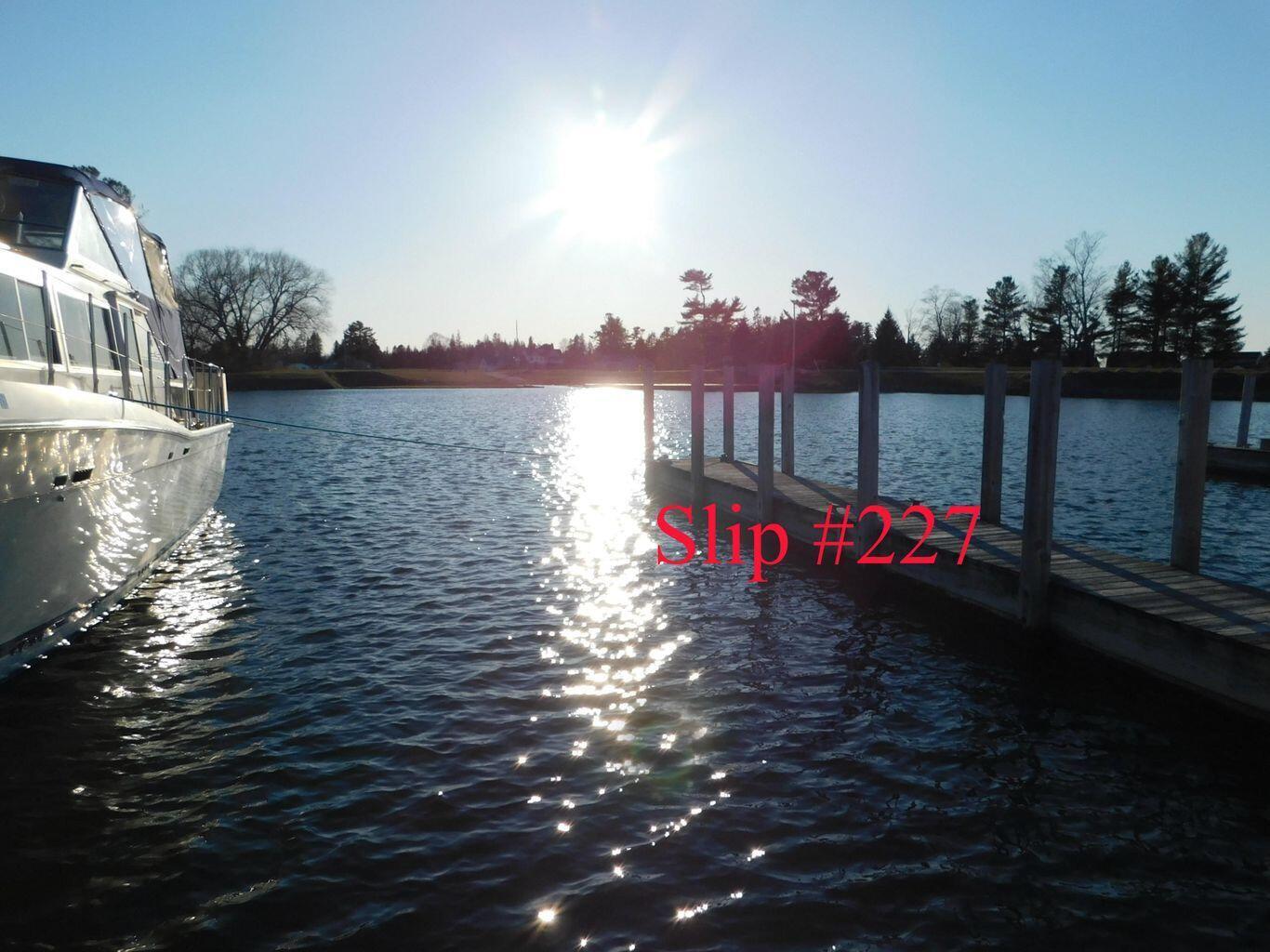 Property Photo: 227 Boat Club Drive MI 49721