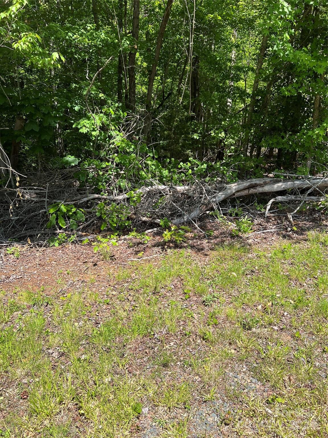Property Photo:  146 Woodline Drive 312  NC 27371 