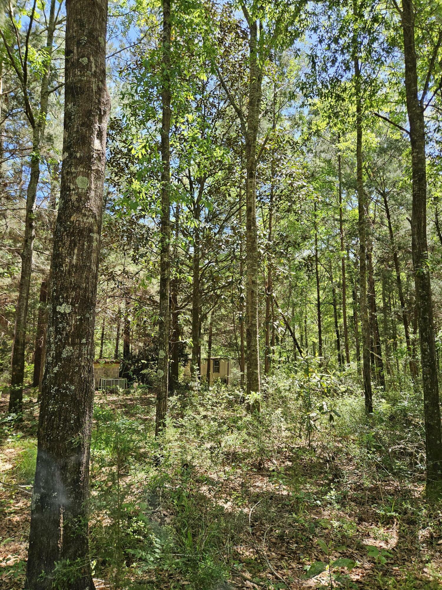 Property Photo:  9 +/- Acre US Hwy 29  AL 00N/A 