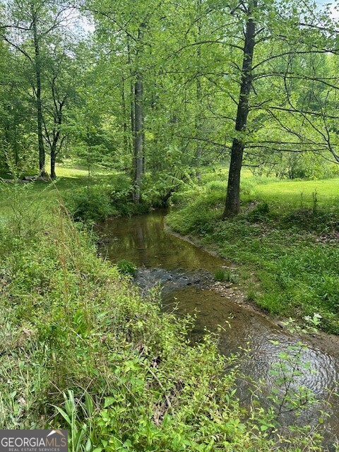Property Photo: Lot 9 Clear Creek Preserve Way GA 30536