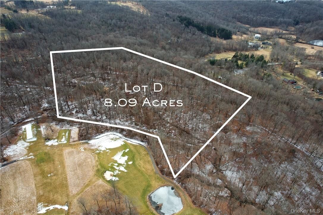 Property Photo:  Lot D Oblong Lane  NY 12564 