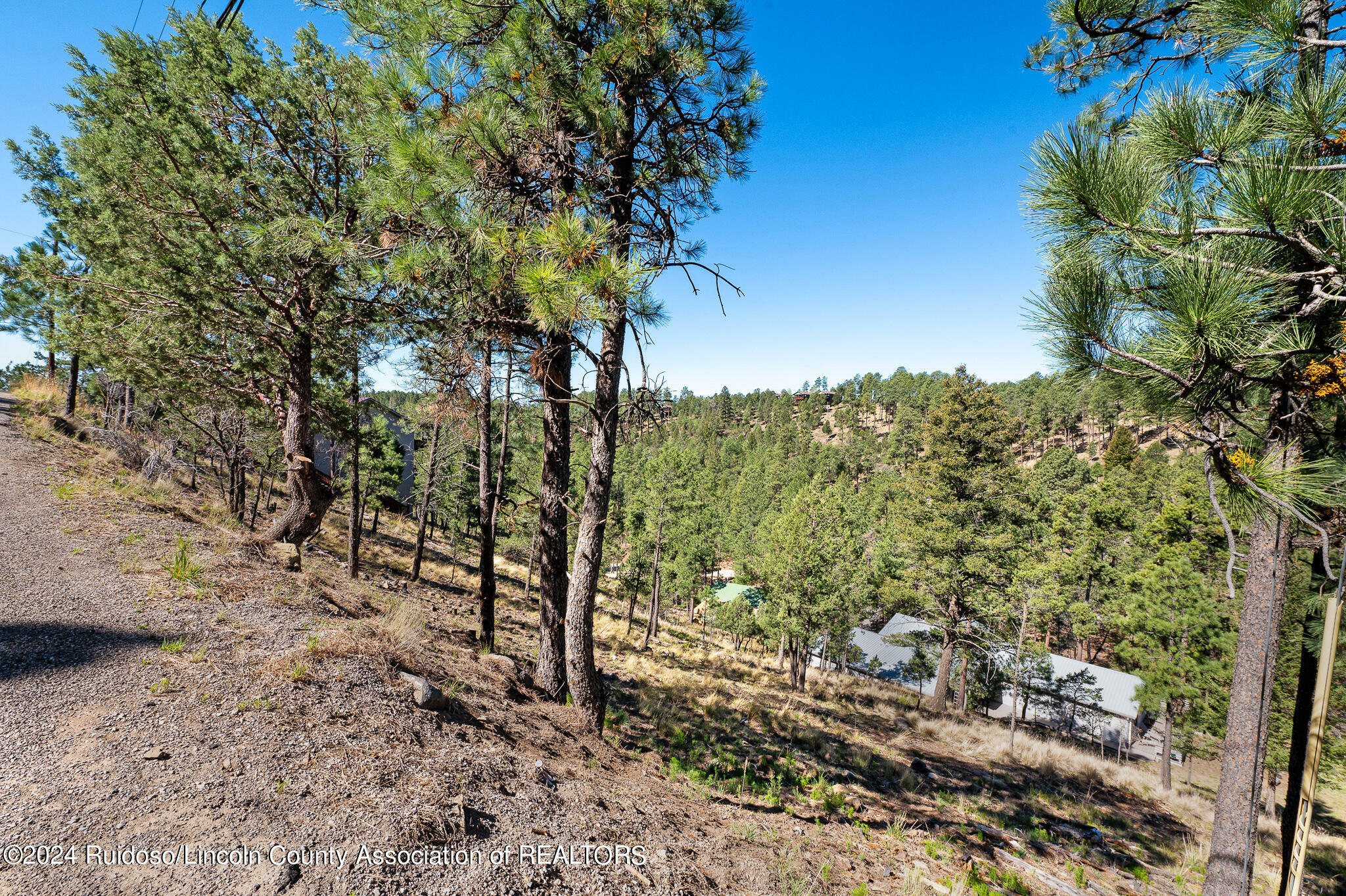 Property Photo:  115 Sandia Road  NM 88345 