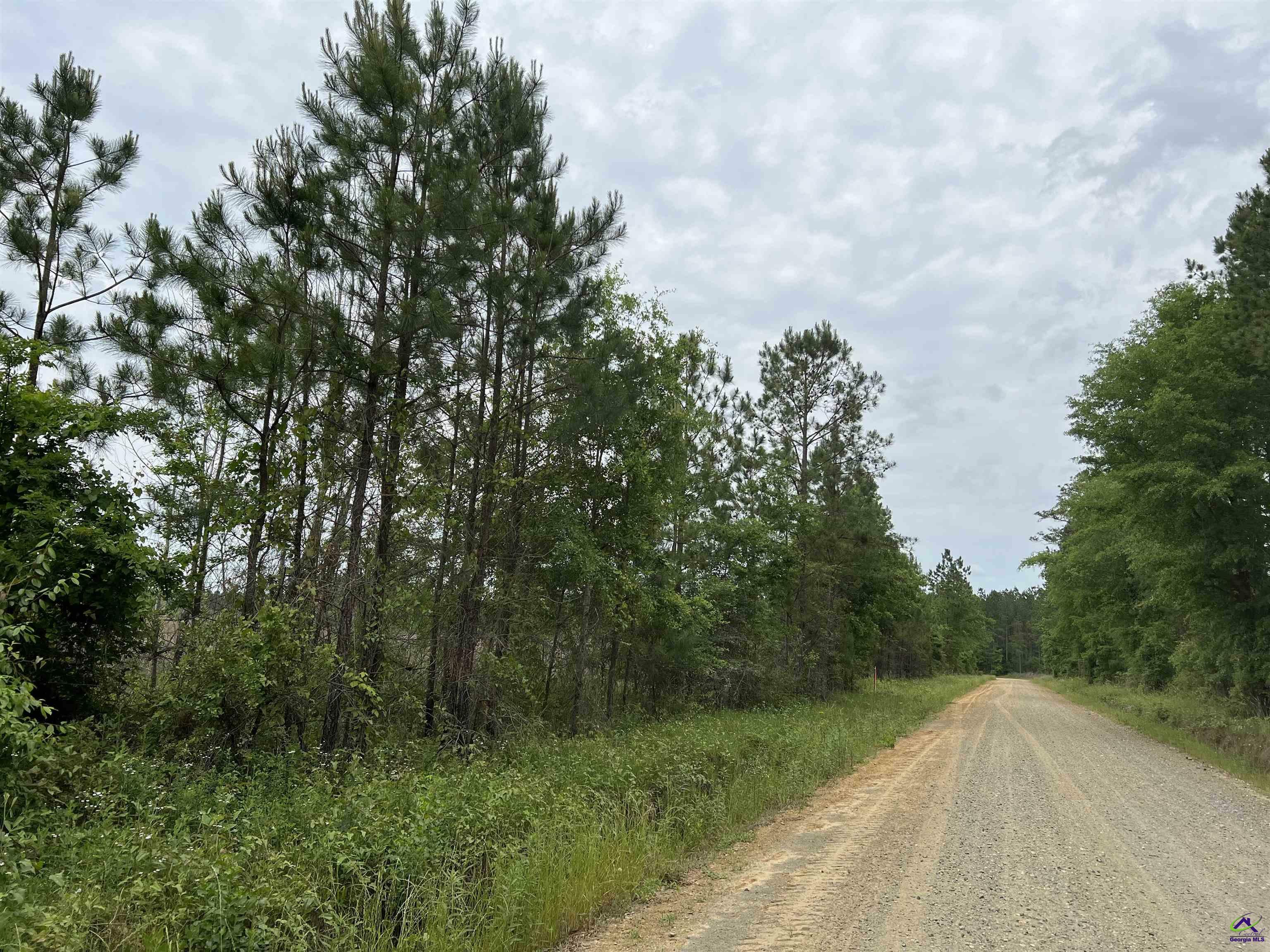 Property Photo:  Lot 4 Longstreet Church Road  GA 31014 