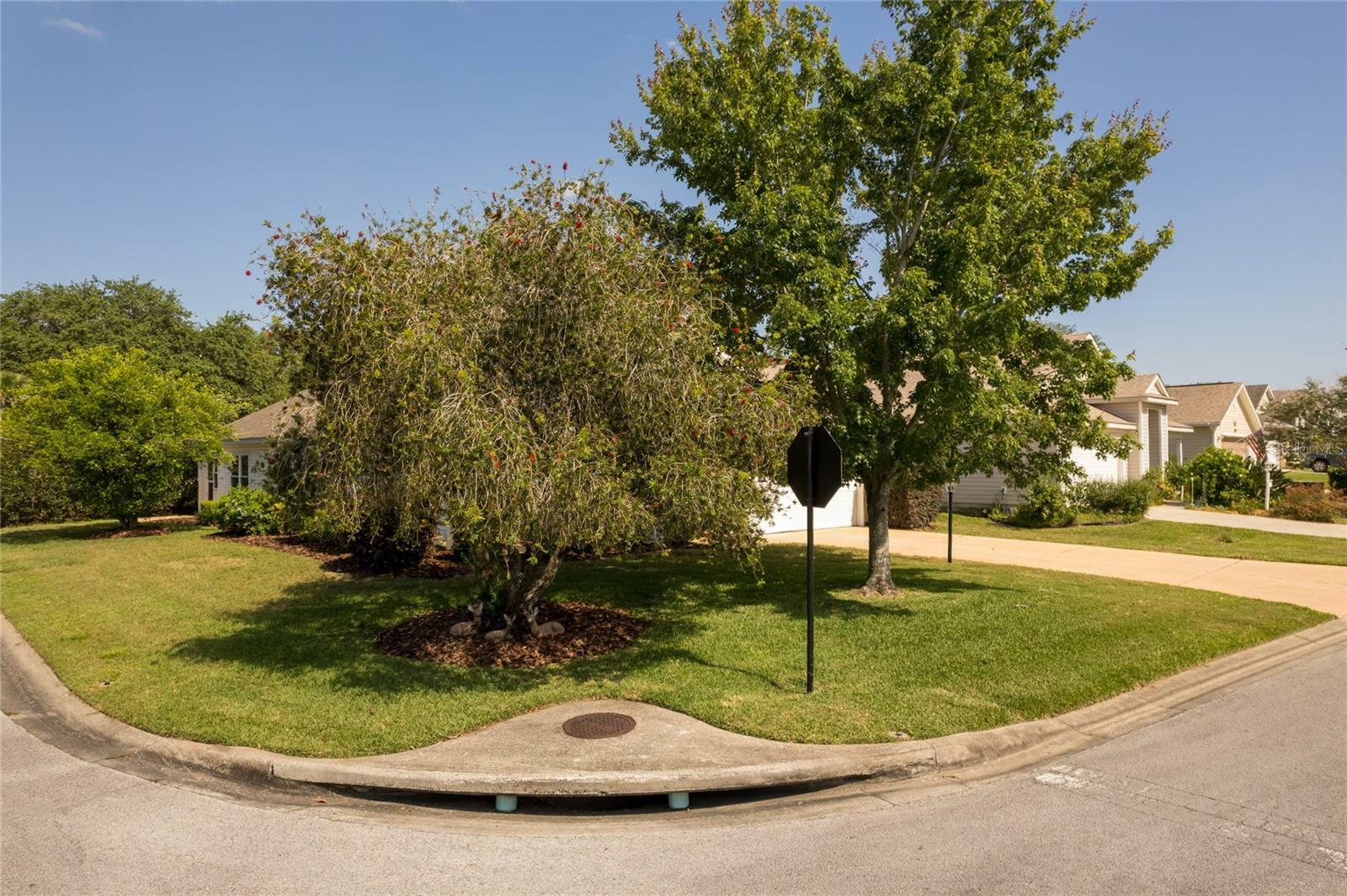 Property Photo: 24801 Cranes Roost Circle FL 34748