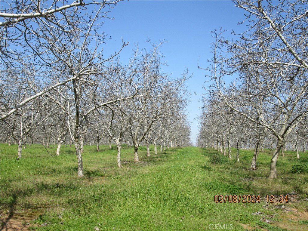 Property Photo:  0 Highway 59  CA 95388 