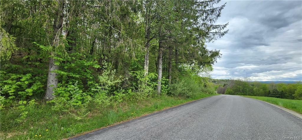 Property Photo:  00 Houghtaling Road  NY 12747 