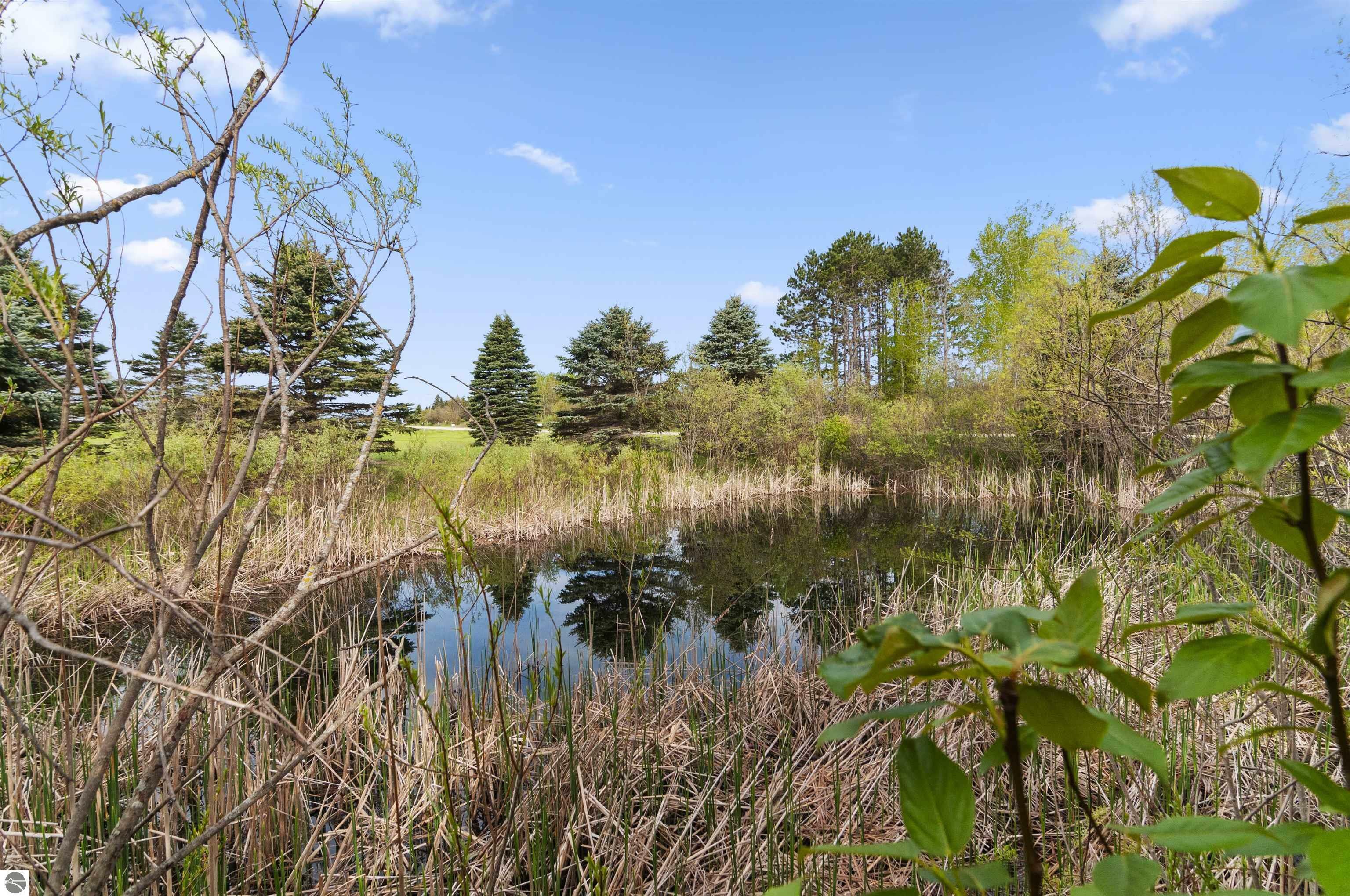 Property Photo:  2153 17 Mile Road  MI 49665 