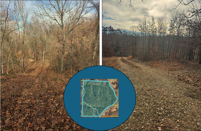 Property Photo:  79.30 Acre Styles Road  MO 64854 