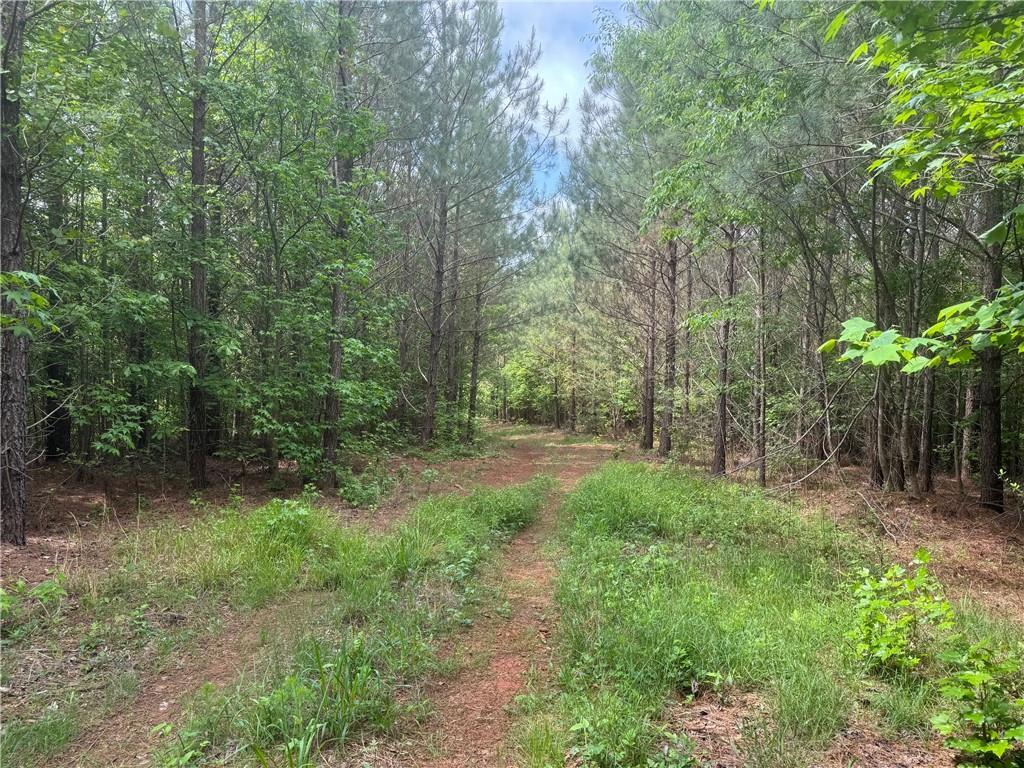 Property Photo: 00 Ga-136 Tract 2 GA 30534