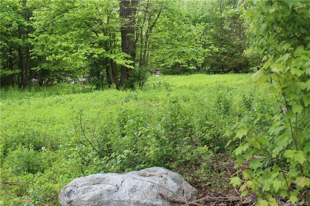 Property Photo:  Lakes Road  NY 10950 