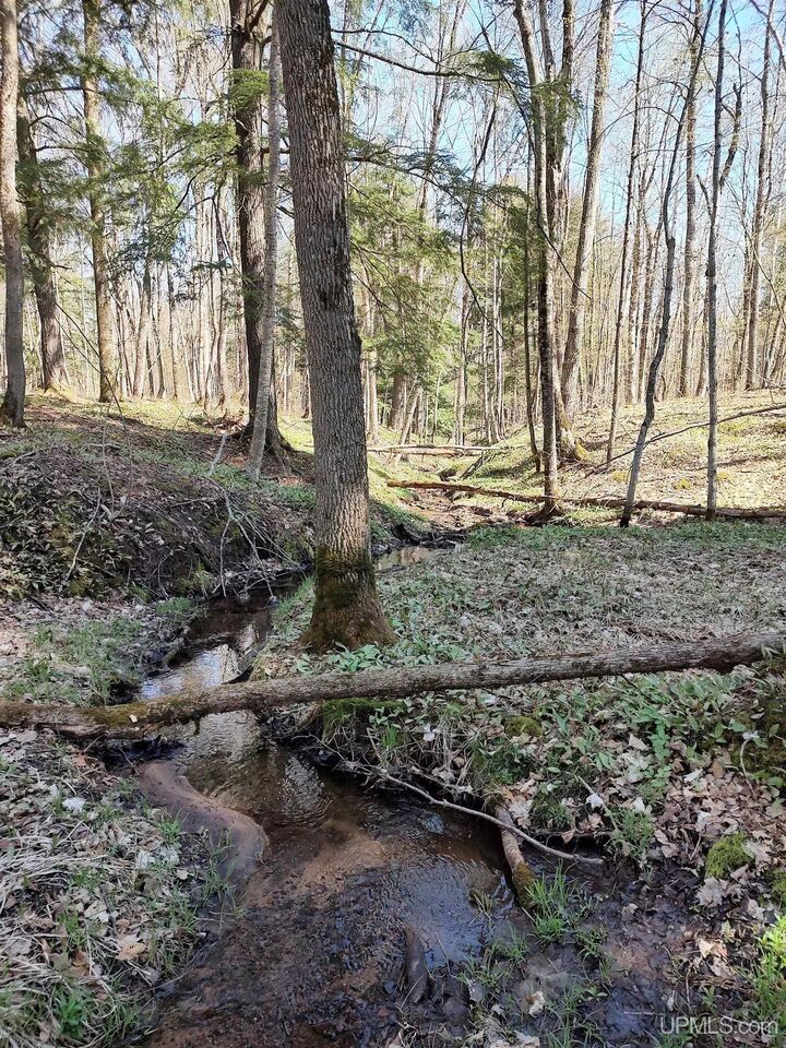 Property Photo: Tbd N Firesteel Road MI 49929