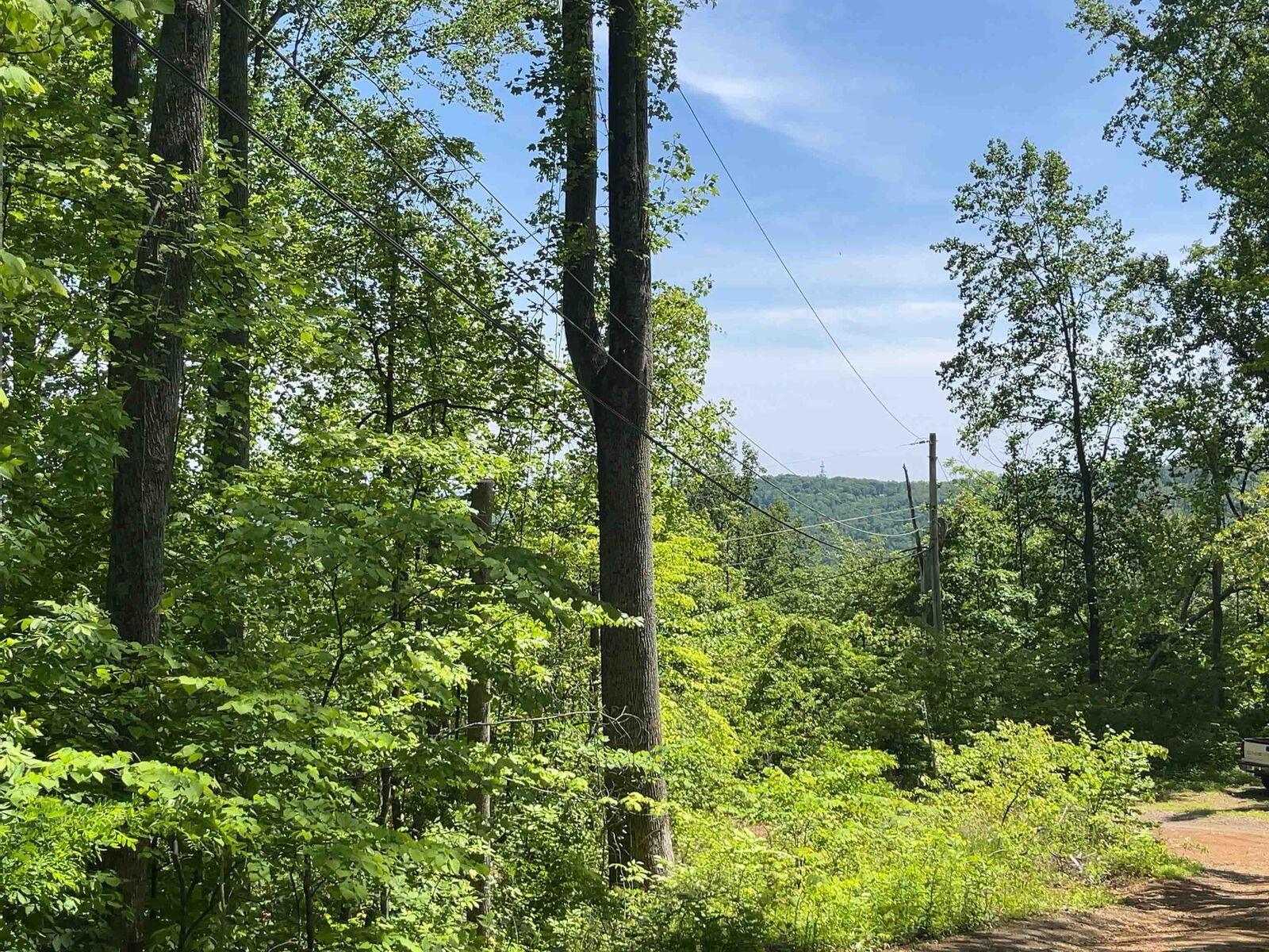 Property Photo:  Crane Cir Lot 23 Section 7 Dogwood Valley  VA 22973