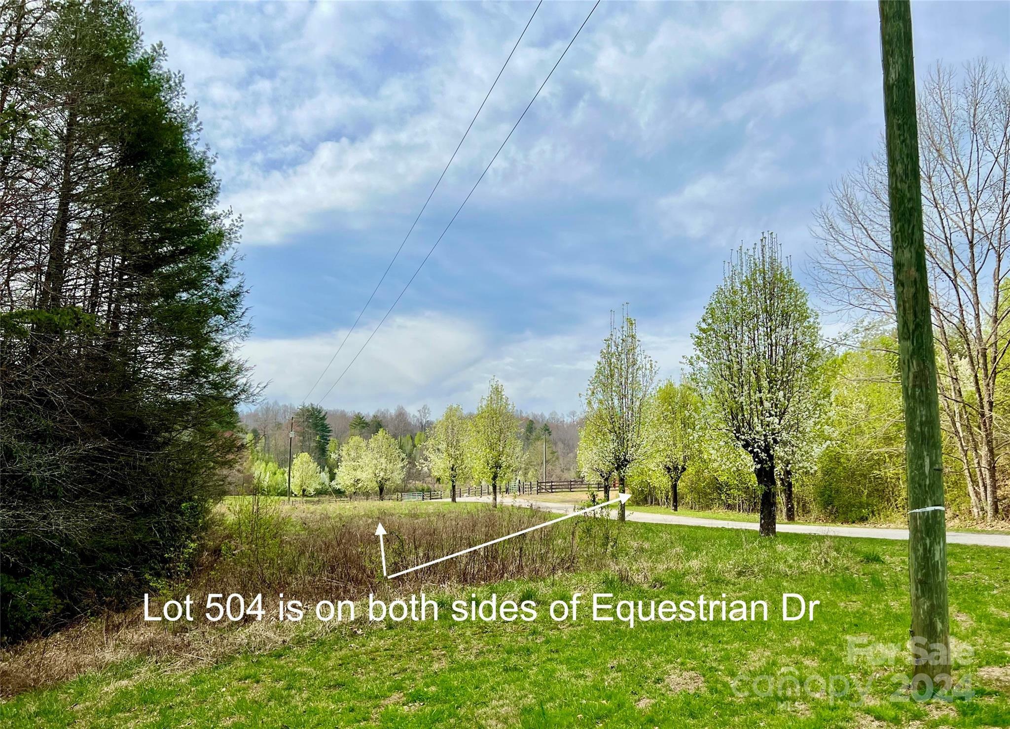 Property Photo:  5.69 Acres, Lot 504 Equestrian Drive Lot 504  NC 28645 