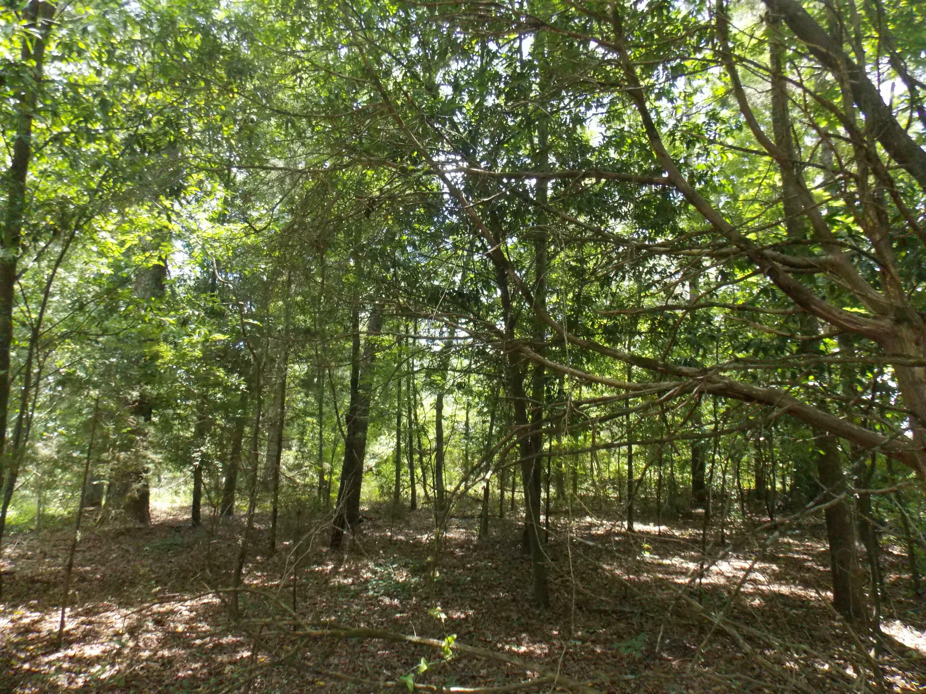 Property Photo:  0reen Greenbrier Road  GA 30824 