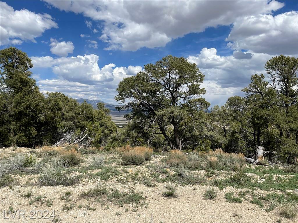 Property Photo:  350 East Ward Mountain Drive  NV 89301 