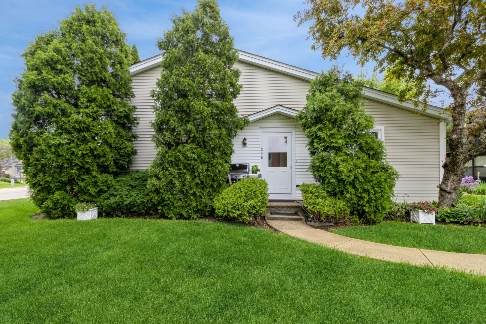 Property Photo:  258 Inverrary Lane  IL 60015 