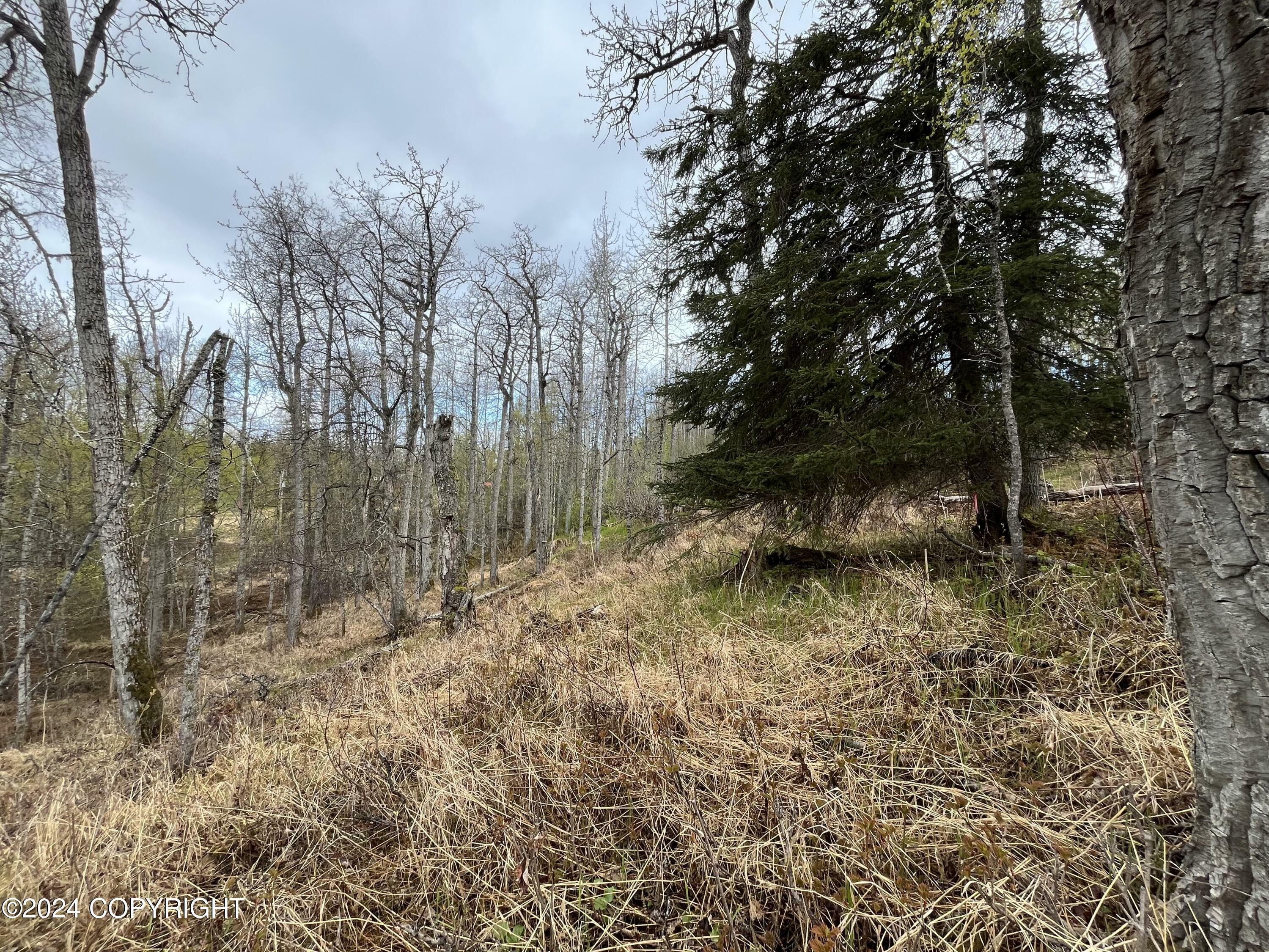 Property Photo:  53625 Kenai Spur Highway  AK 99635 