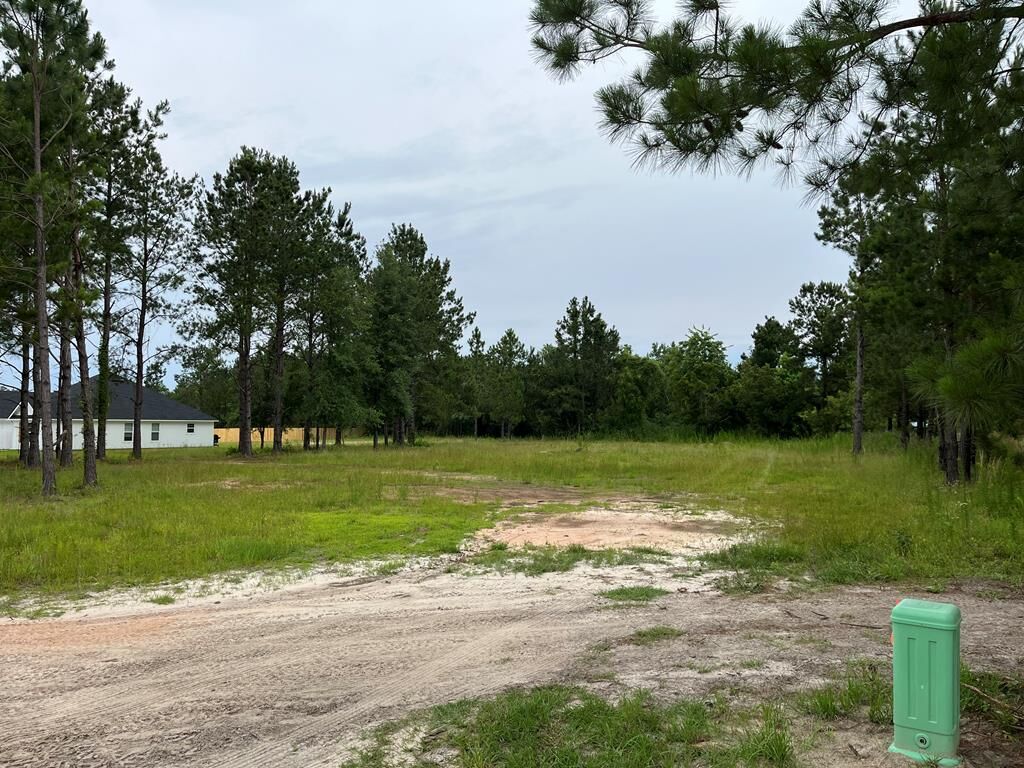 Property Photo:  19 Lois Place  GA 31641 
