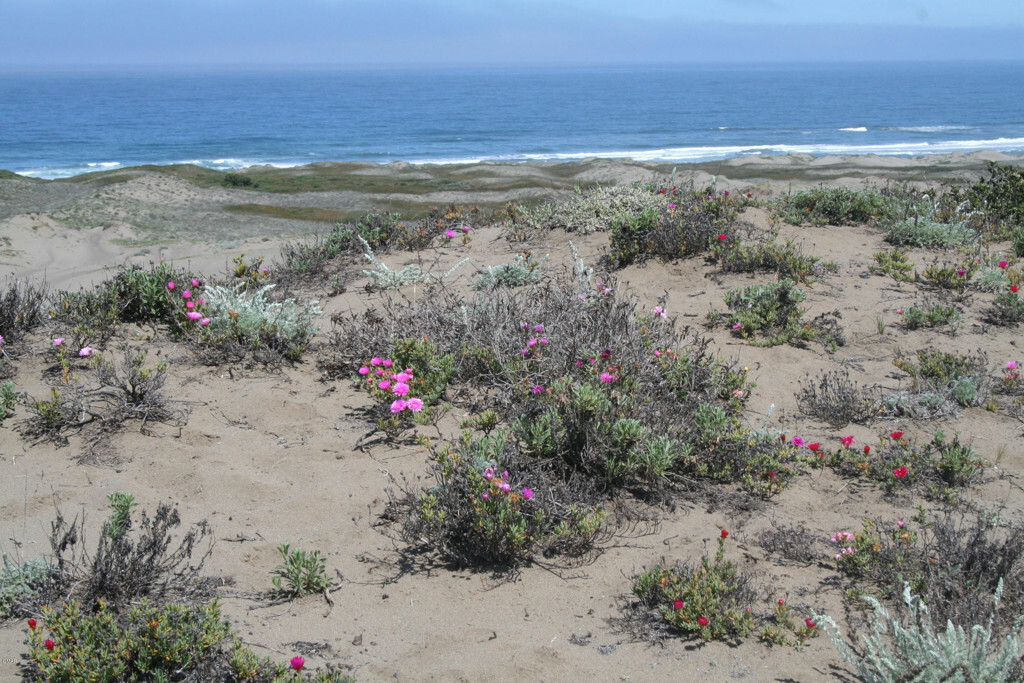 Property Photo: 24950 Ca-1 CA 95437