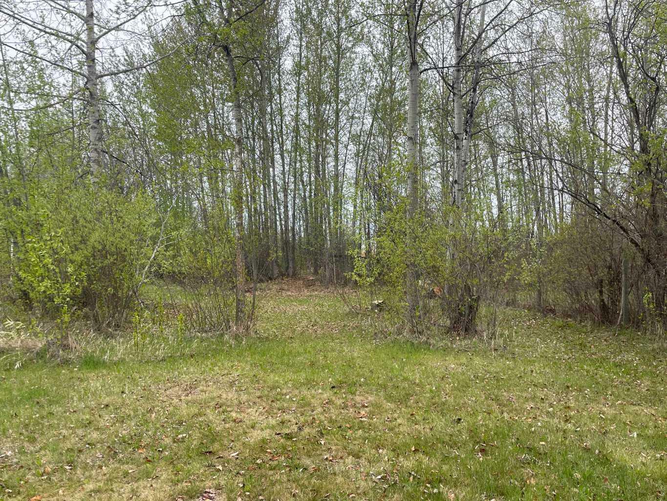 Photo de la propriété:  Lot 9 Block 3 Summerhaven  AB T0C 1H0 