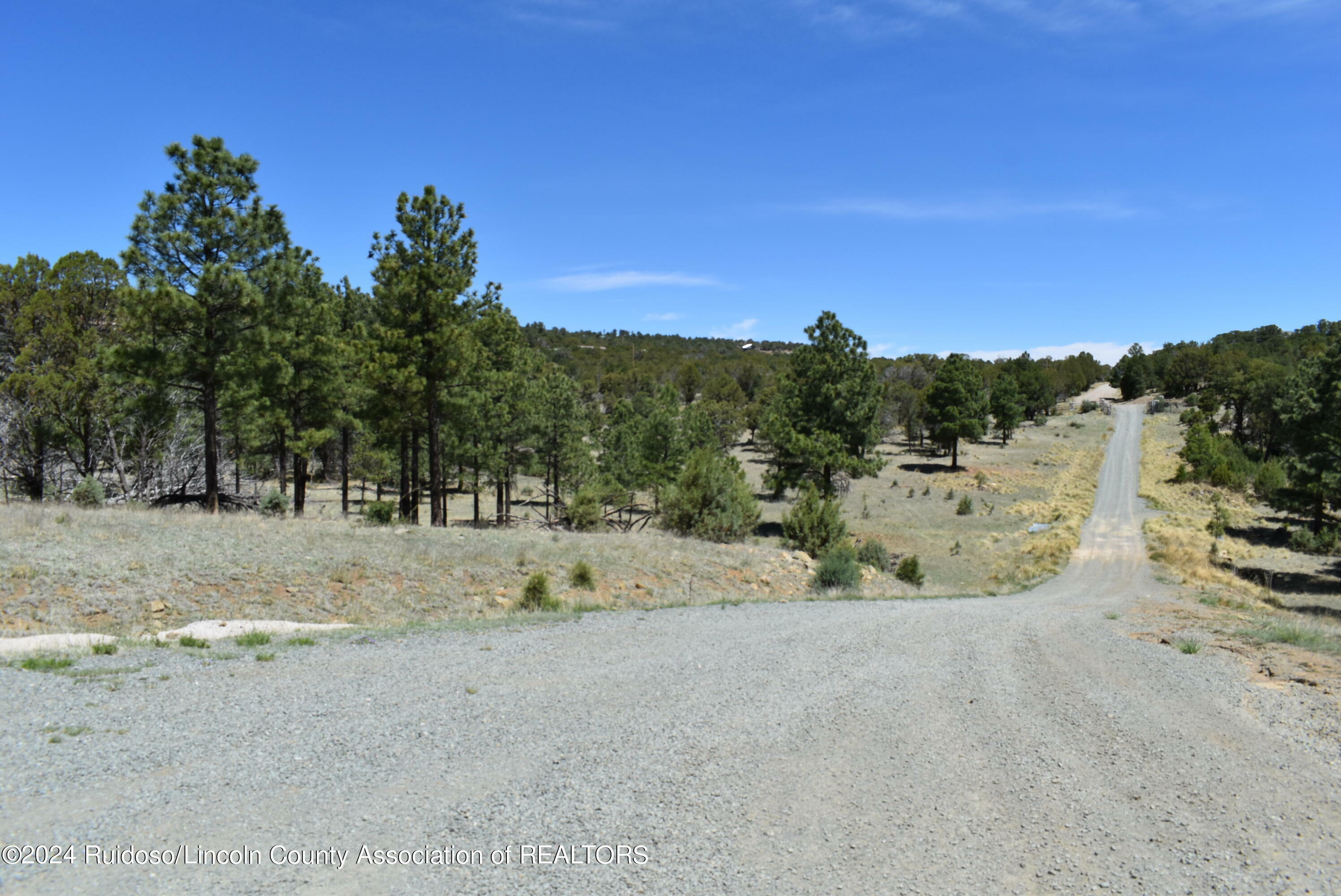 Lots 1 & 3 Silver Fox Lane  Alto NM 88312 photo