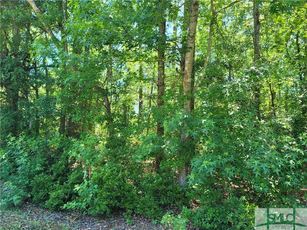 Property Photo:  Lot 34 Japonica Drive  GA 31320 