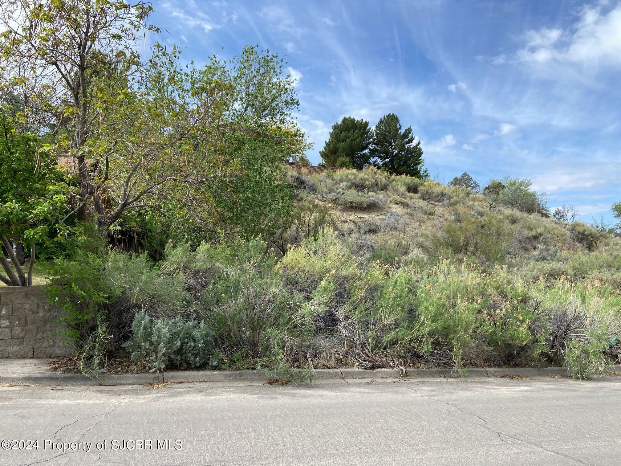 Property Photo:  Lot7 Lot A W 24th Street  NM 87401 