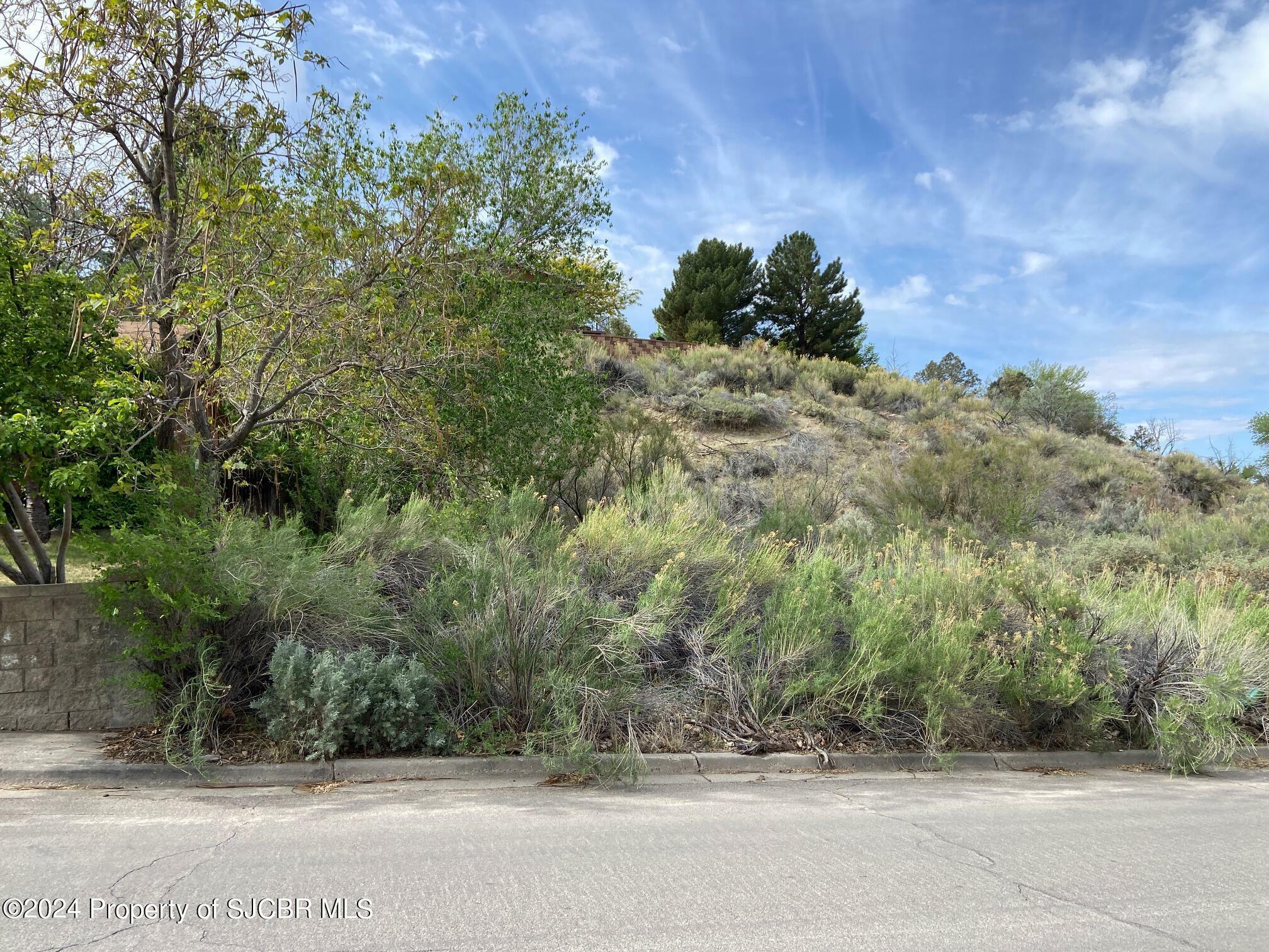 Property Photo: Lot7 Lot A W 24th Street NM 87401