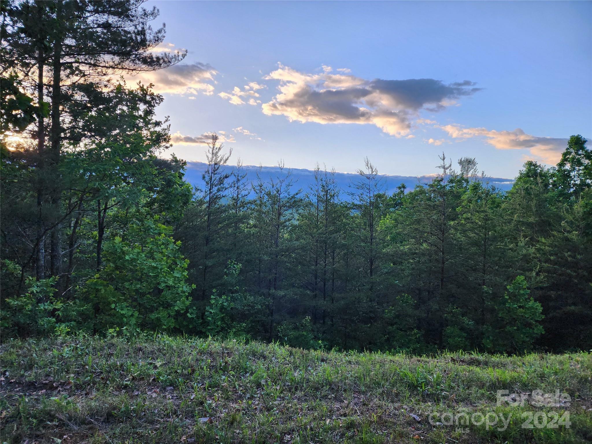 Property Photo: 87 Mountain Lookout Drive NC 28018