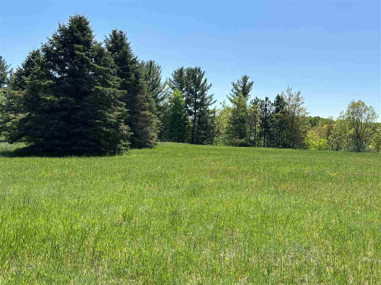 Property Photo:  Lot 49 William Diddle Dr. 49  MI 49615 