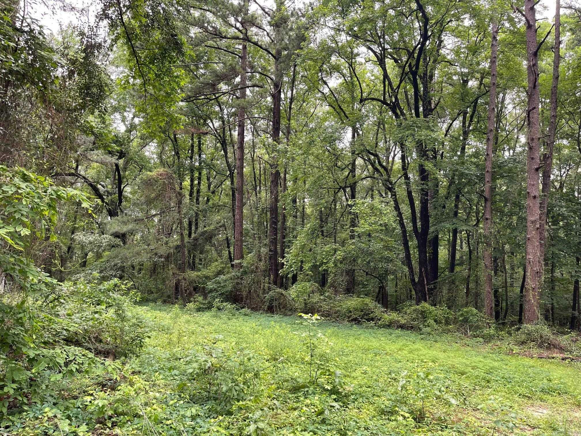 Property Photo:  00 Northshore  AR 72015 