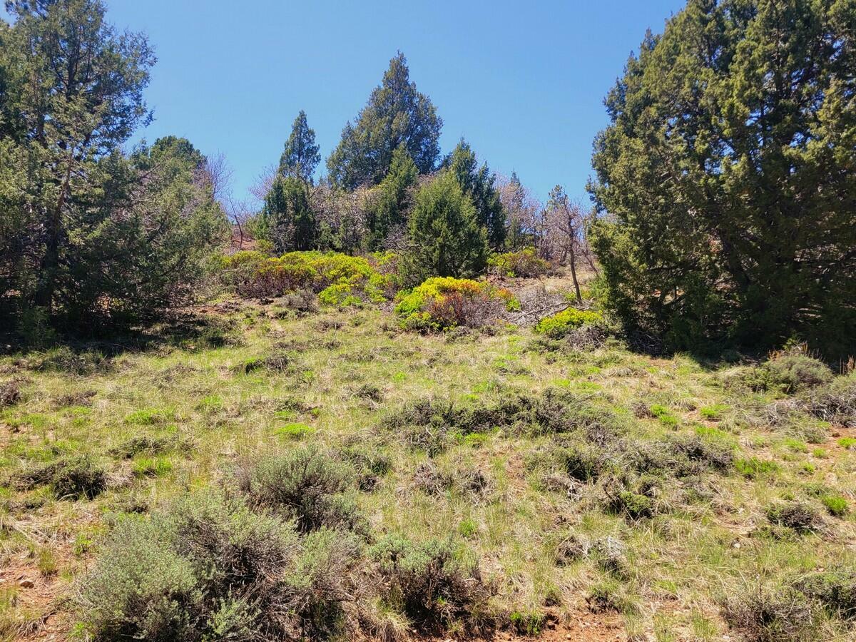 Property Photo:  Lot 5 Crestline Ave  UT 84762 