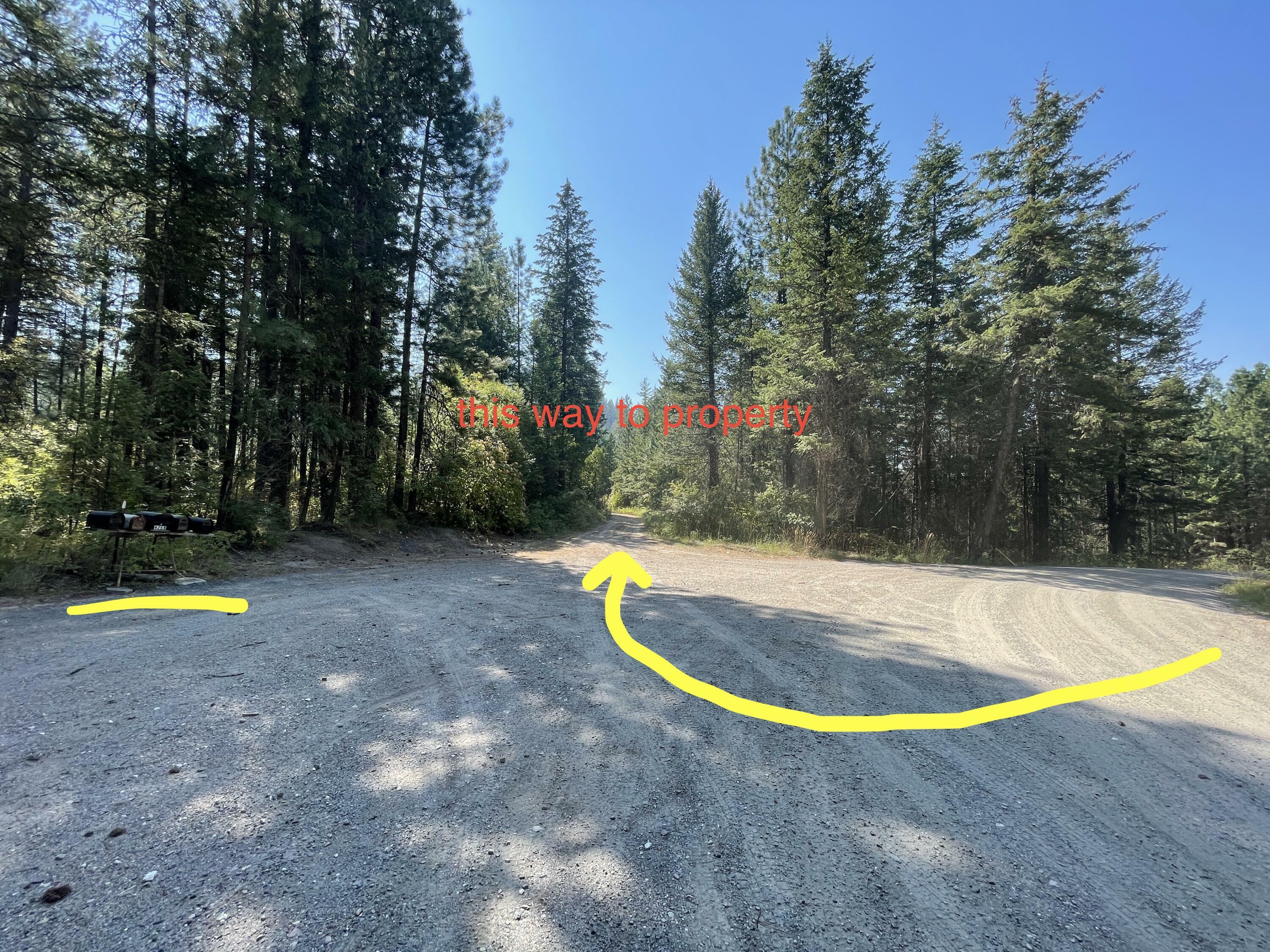 Property Photo:  Tbdxx Grouse Creek Rd Lot 20  WA 99109 