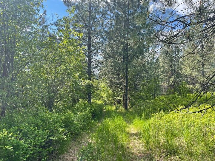 Property Photo: Nhn Addy Lane MT 59864