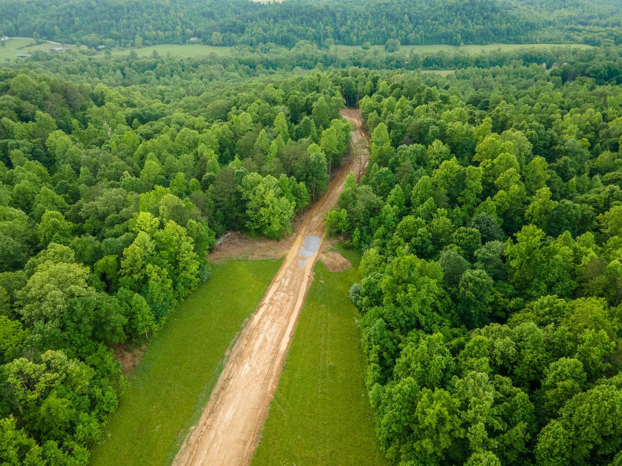 Property Photo:  Lot 141 Mt Morgan Road  KY 40769 