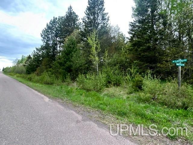 Property Photo:  51465 Marttila Parcel 6 Road  MI 49905 