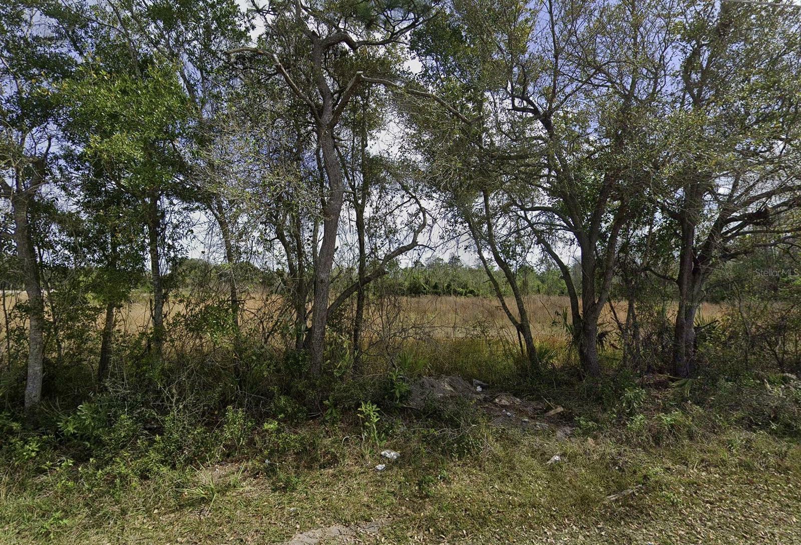 Property Photo: 0 Delaware Avenue FL 34769