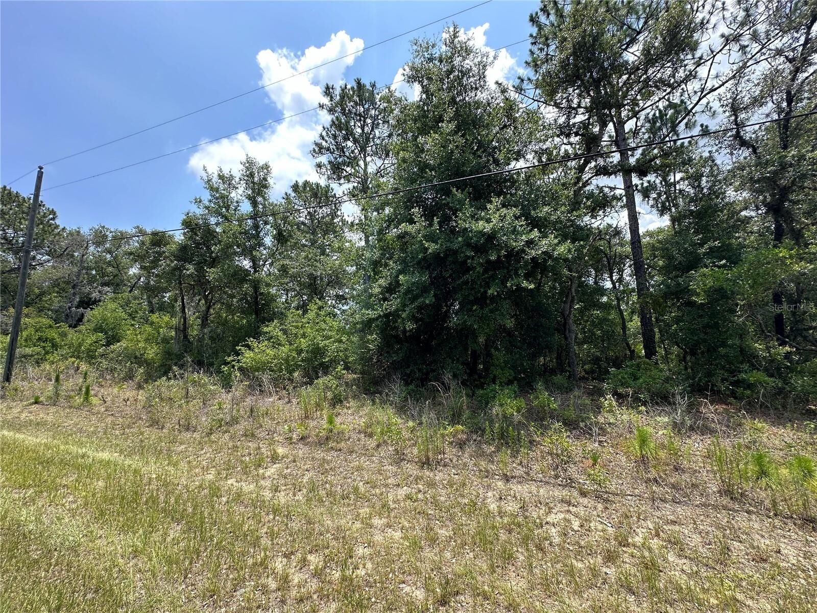 Property Photo:  2338 W Riley Drive  FL 34434 