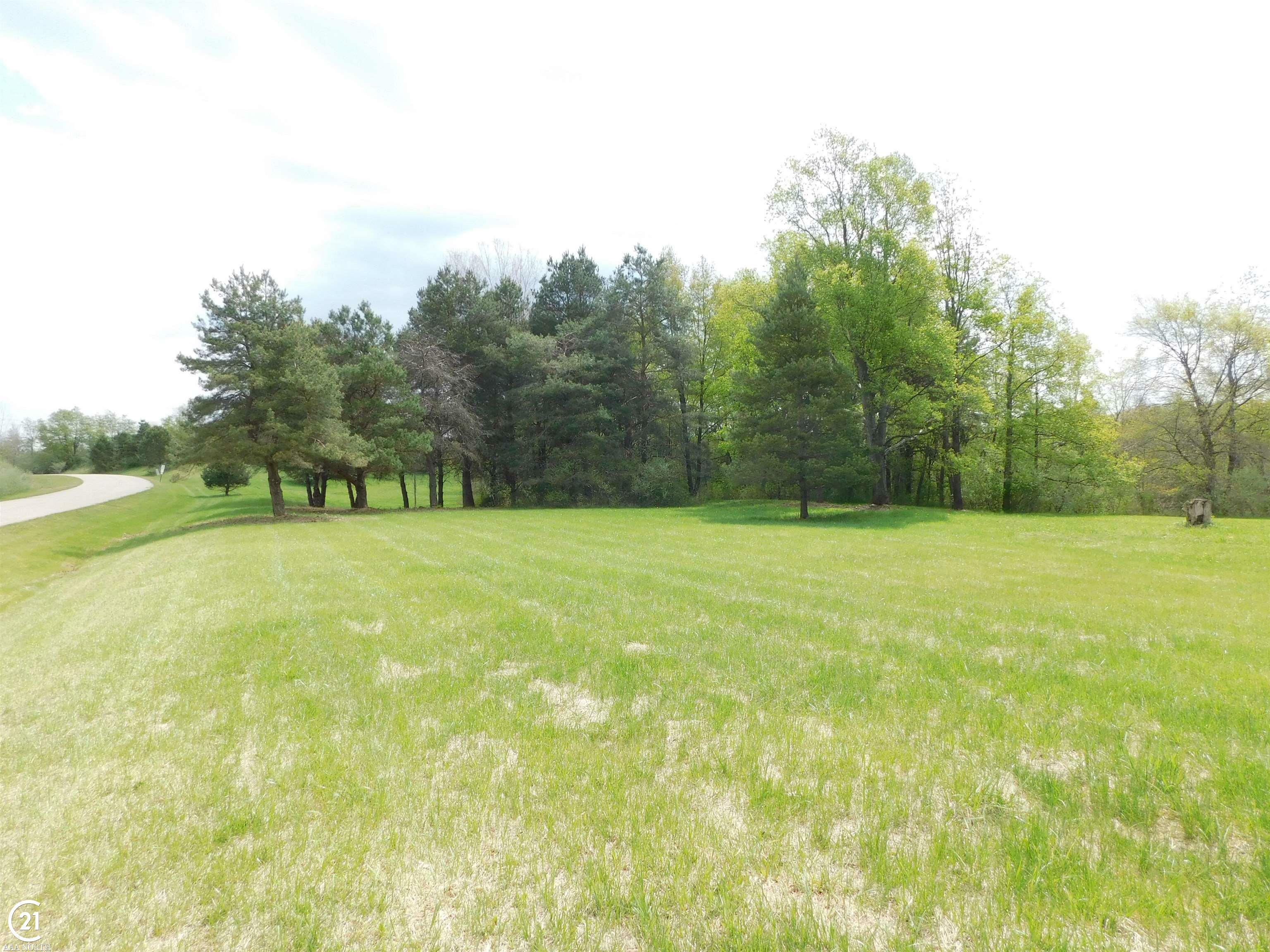 Property Photo: 0 Silver Hill Parcel 1 Drive MI 48428