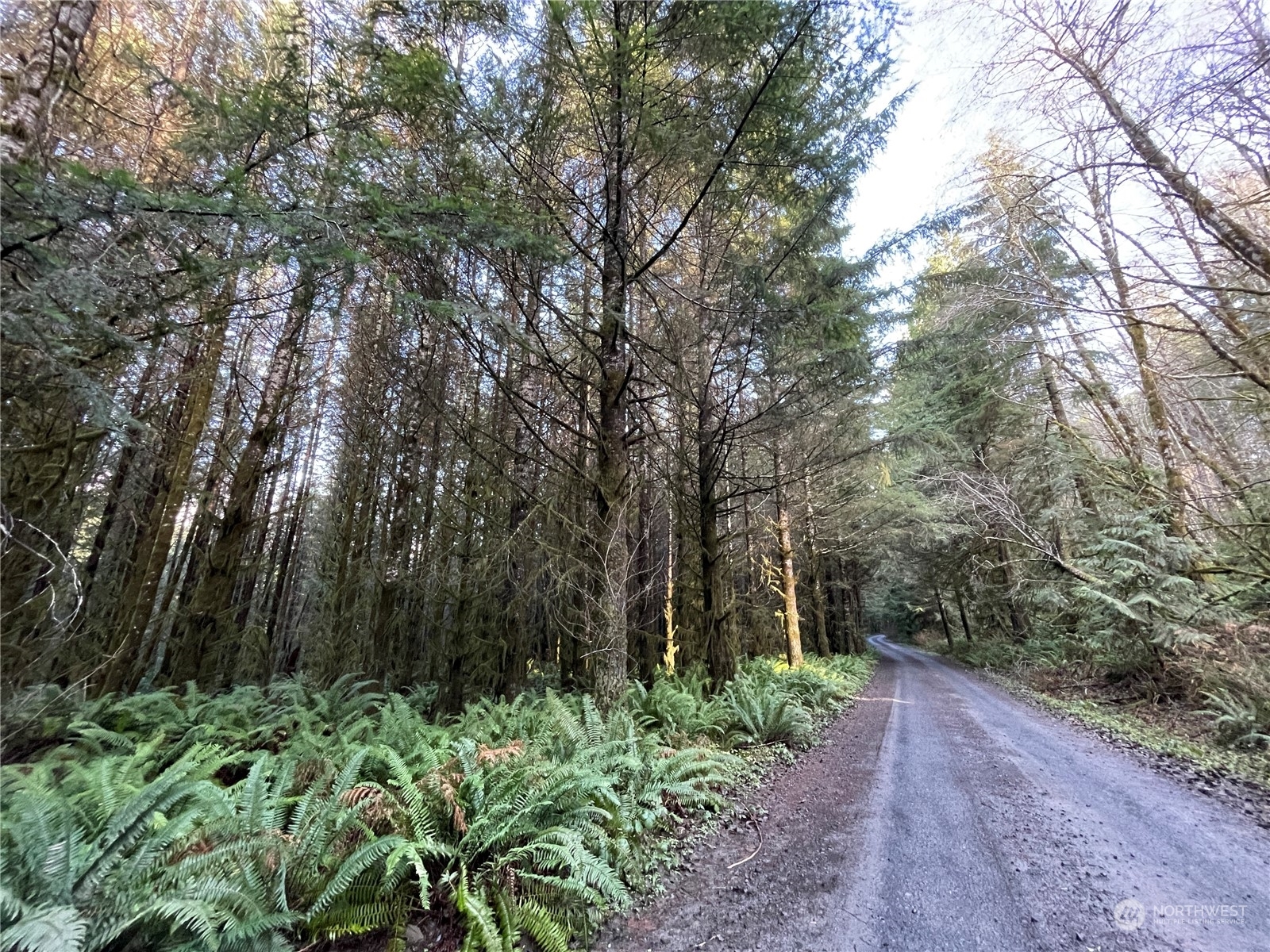 Property Photo:  0 Nka Oak Point Road  WA 98632 