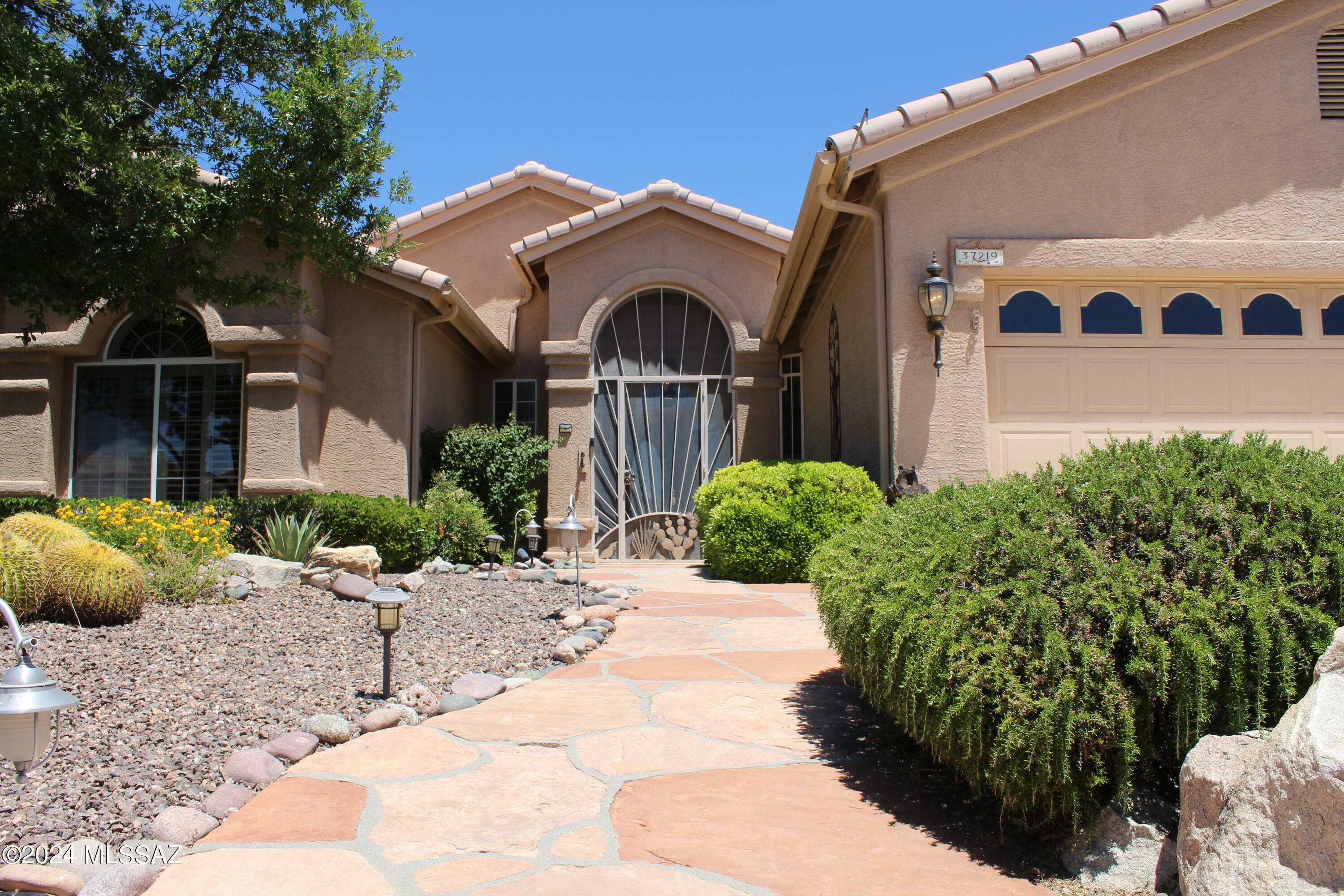 Property Photo:  37219 S Canyon View Drive  AZ 85739 