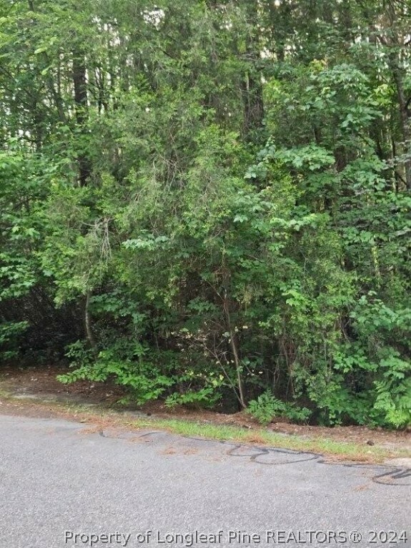 664 Wren Lane  Vass NC 28394 photo