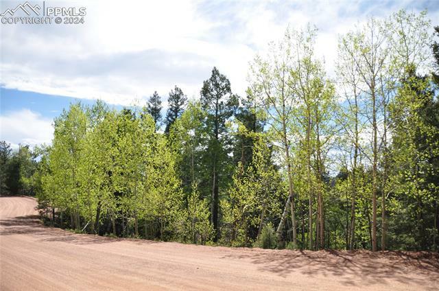 Property Photo:  571 Troy Drive  CO 80813 