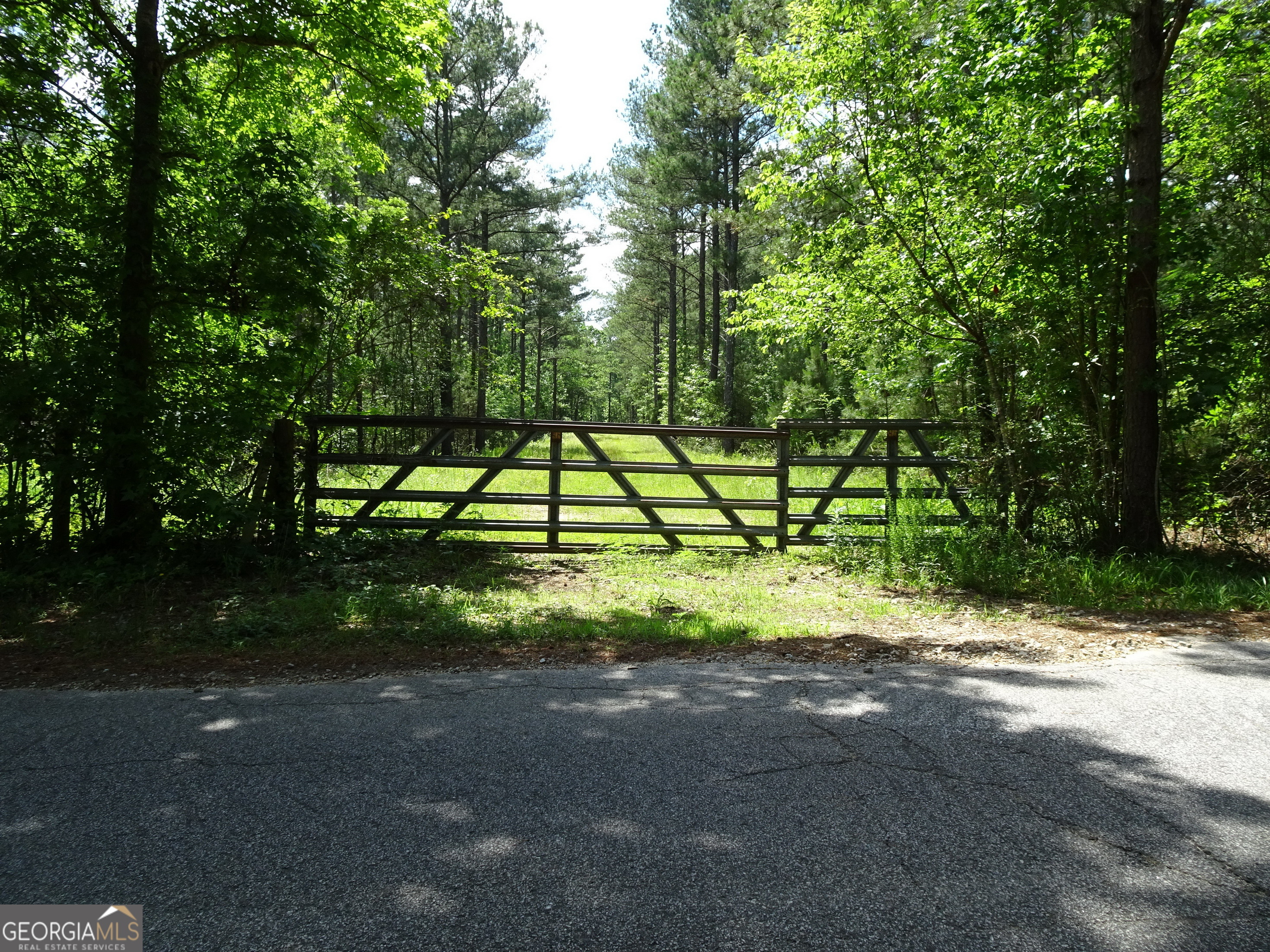 Property Photo:  60+ Ac Byrd And Townley Road  GA 30054 